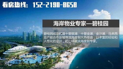 湛江吴川头条最新爆料,揭秘重大事件背后真相